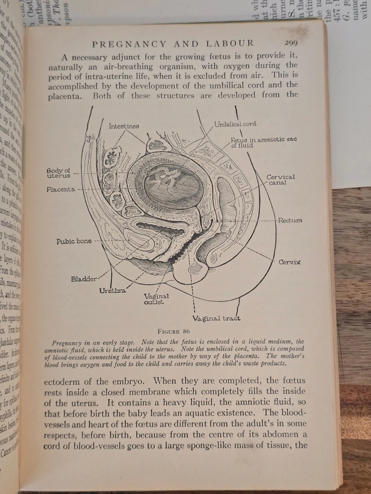 The Human Body by Logan Clendening - Star Book Edition