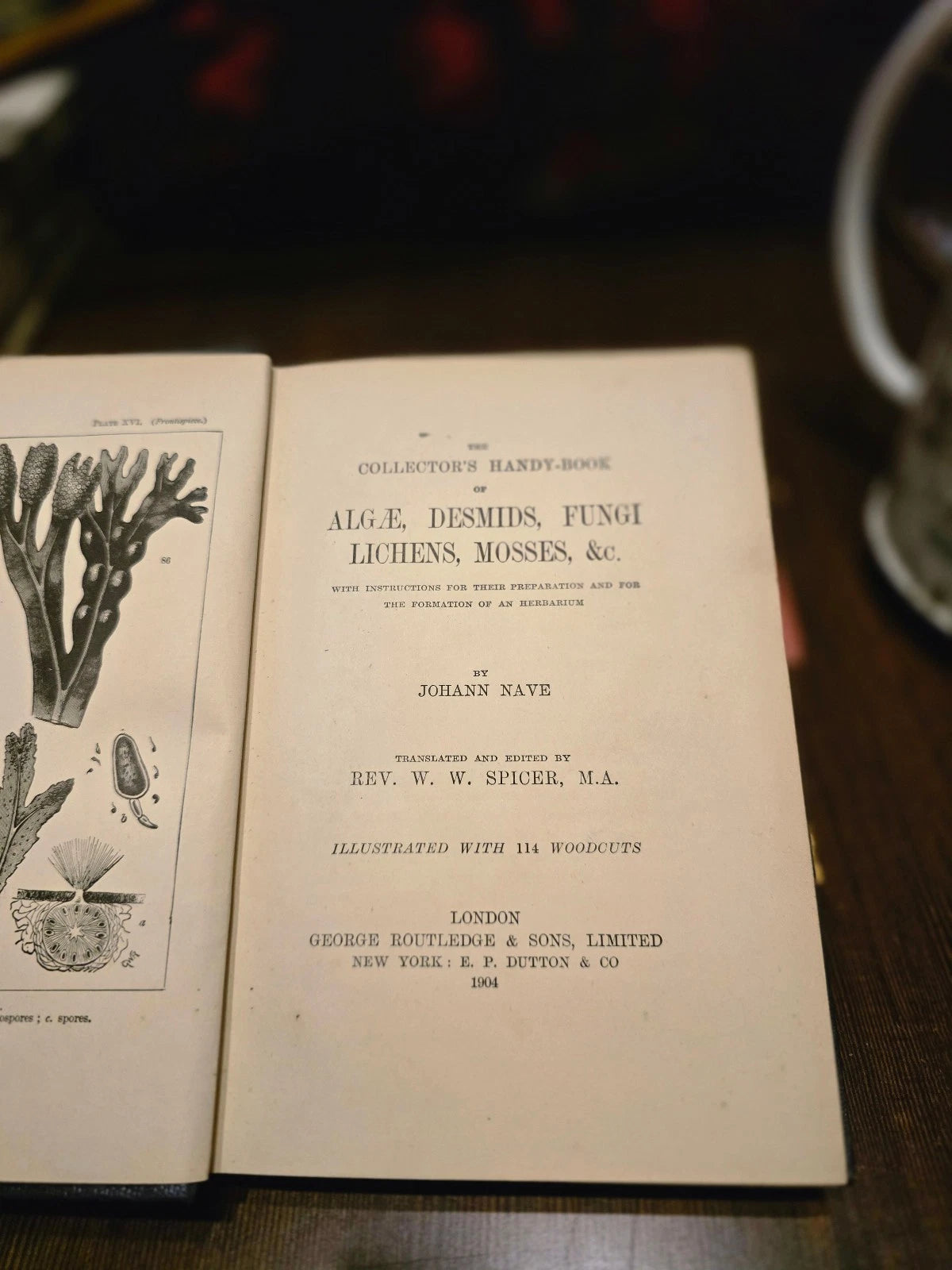 The Collectorâs Handy-Book of Algae, Fungi, Lichens, Mosses by Johann Nave - ...