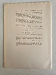 Species and Chromosomes (1925) by R. Ruggles Gates