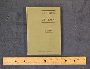 Wild Birds in City Parks by Herbert & Alice Hall Walter – Fifth Enlarged (1910)