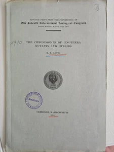 The Chromosomes of Oenothera Mutants and Hyb by Reginald Ruggles Gates