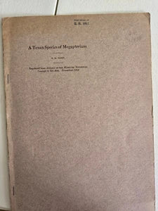A Texan Species of Megapterium (1914) by R. Ruggles Gates