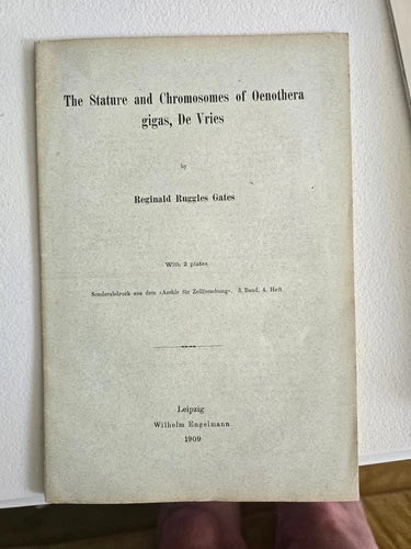 The Stature and Chromosomes of Oeno by De Vries Reginald Ruggles Gates