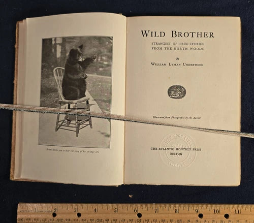 Wild Brother by William Lyman Underwood – Second Impression (1922)