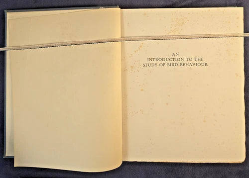 Vintage 1920s An Introduction To the Study of Bird Behaviour