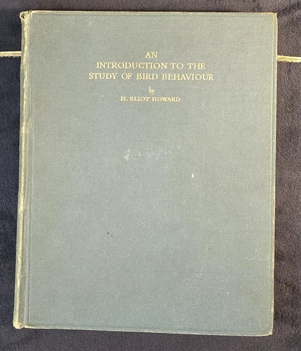 Vintage 1920s An Introduction To the Study of Bird Behaviour