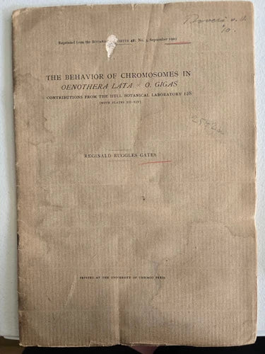 The Behavior of Chromosomes in Oenothera lat by Reginald Ruggles Gates